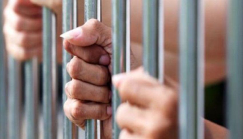 बालकुमारीबाट पक्राउ परेका ७३ जनालाई छाड्ने निर्णय
