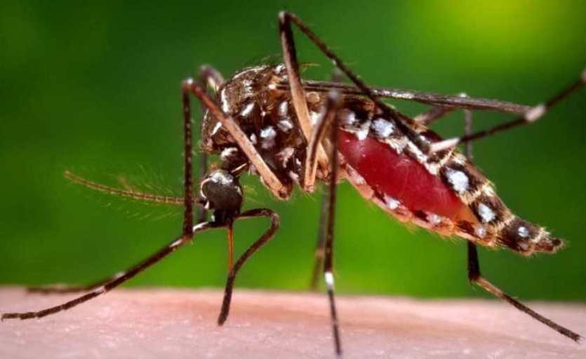 दाङका कोरोना संक्रमितमा डेंगु पनि देखियो