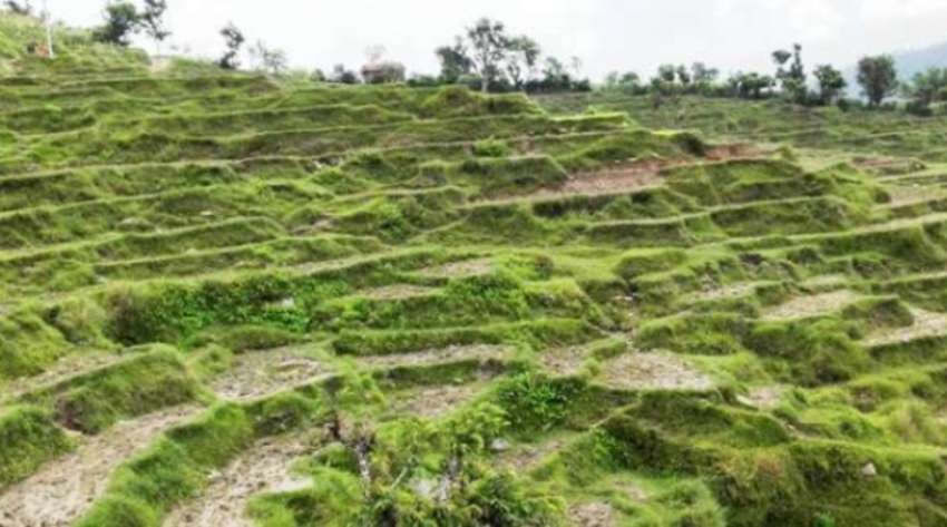 जग्गाधनीलाई थाहै नदिई तीन कट्ठा जग्गा बिक्री