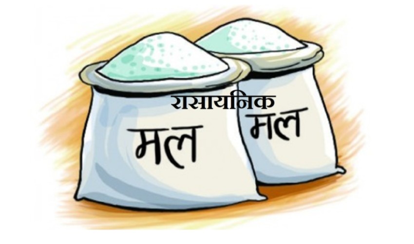 मलबिनै धान रोपाइँ गरिँदै