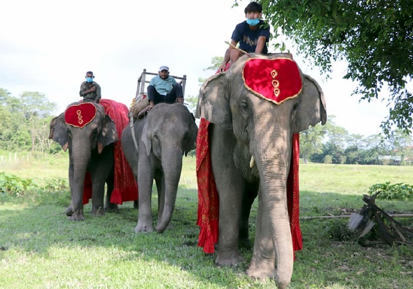 सौरहामा पर्यटकलाई ३० प्रतिशतसम्म छुट