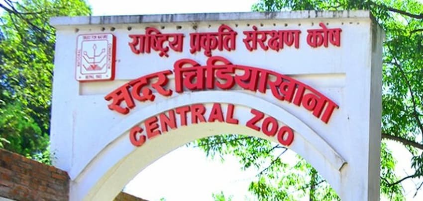 चिडियाखाना एक हप्ताको लागि बन्द