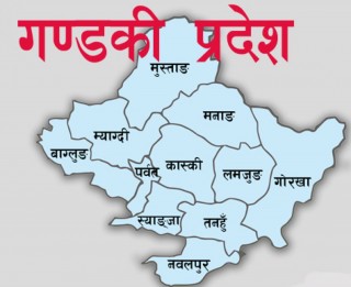 जनमोर्चाका प्रदेश सांसद थापा सांसदबाट हटाइए