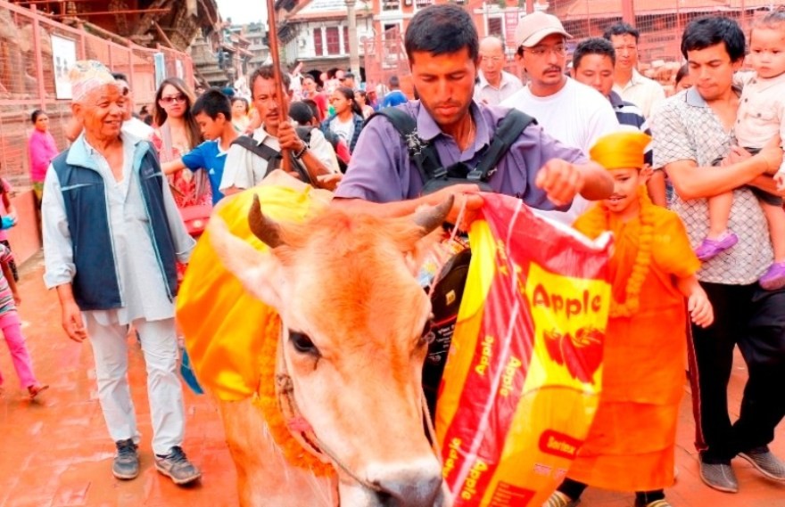 गाईजात्रा पर्व र यसको सांस्कृतिक पक्ष