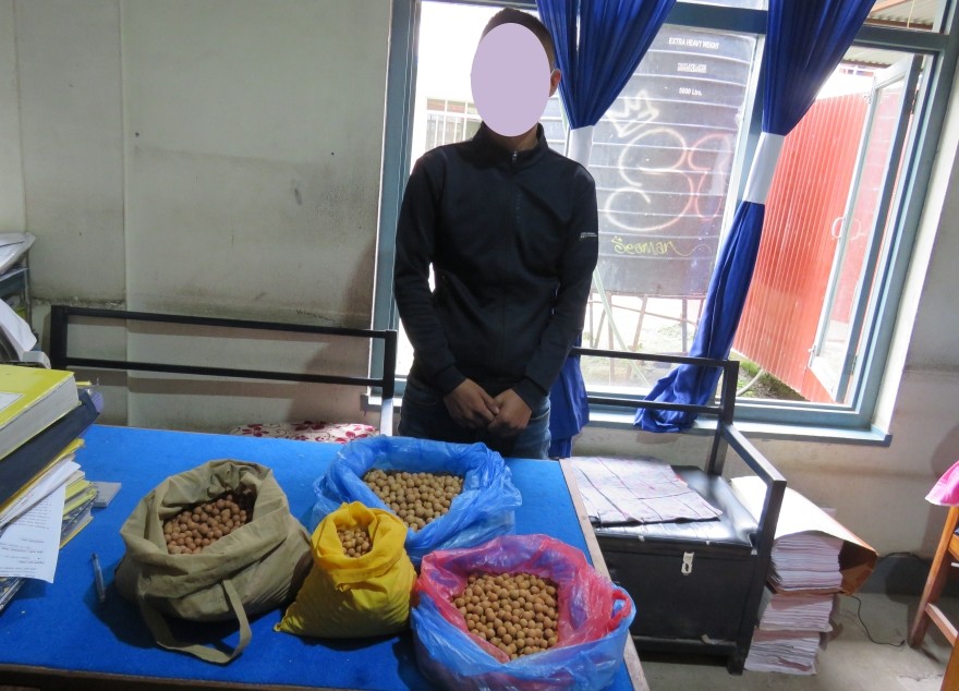 अवैध वुद्धिचित्तसहित सानेपाबाट एक युवक पक्राउ
