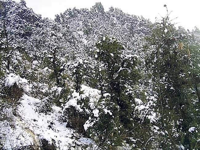 snow-2.jpg