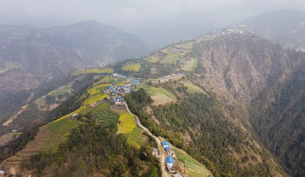 Shankhu Magar gau (2).png