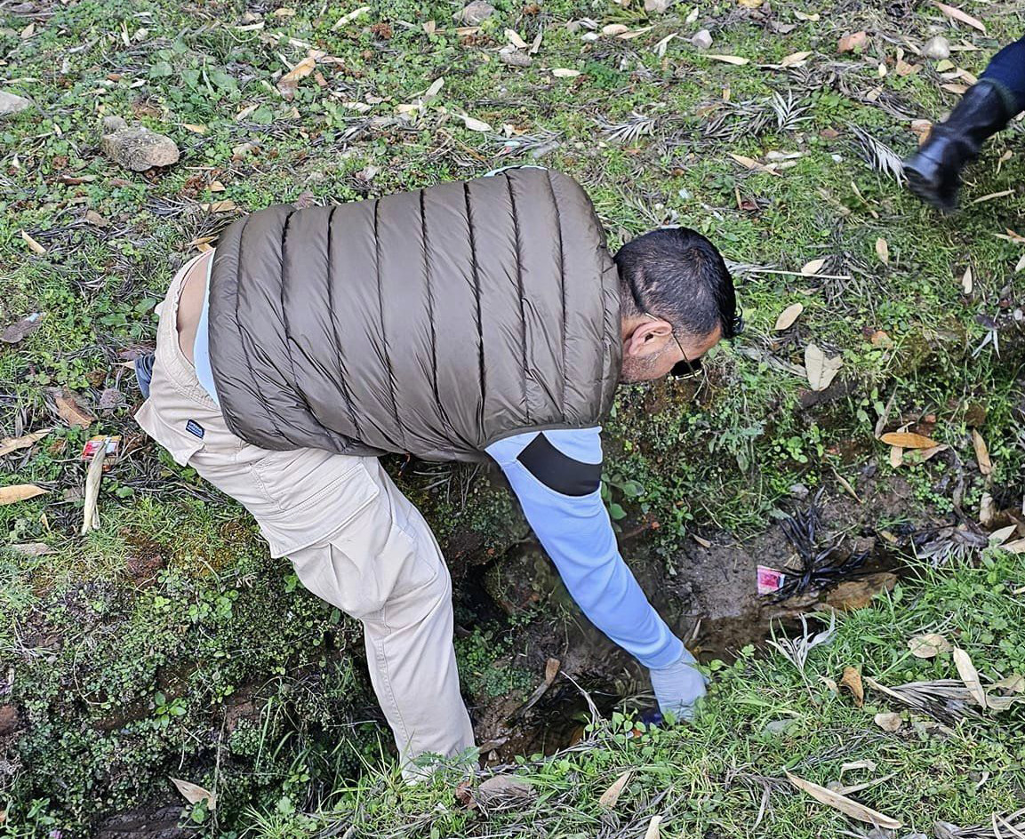 sar sapahai 5.jpg