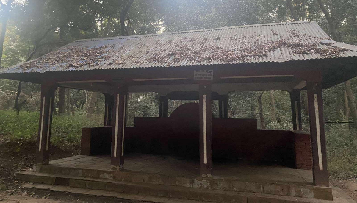 picnic spot.jpg
