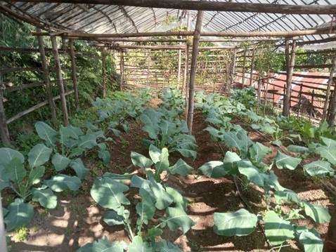 Picture5.jpg